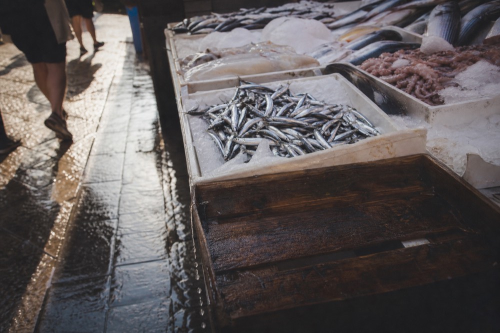 Fishmonger counter piled with crushed ice, silver anchovies and squid arranged in shallow trays, water dripping onto the pavement